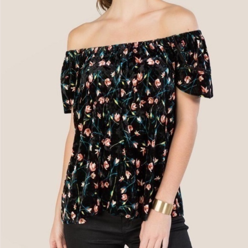 Francesca’s Blue Rain stretch velvet floral top S